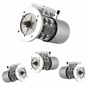 [Hot Item] 4HP Heavy-Duty Brake Motor with Squirrel-Cage Design for Efficiency