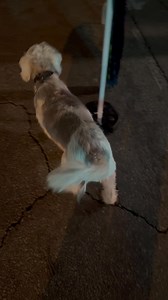 Anna Miller on Reels | Facebook