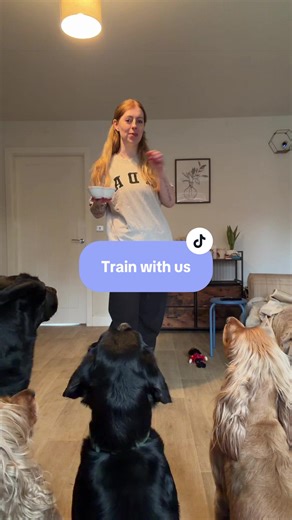 Dog Training Session with Fun Commands