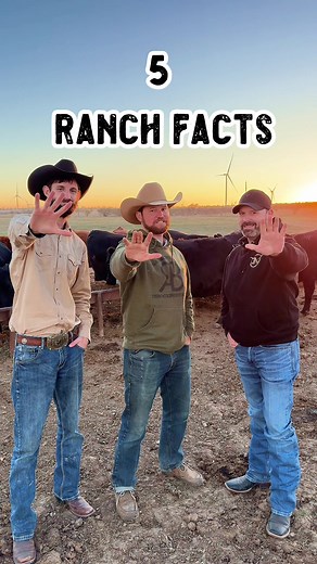 Five Essential Facts About Ranching in America