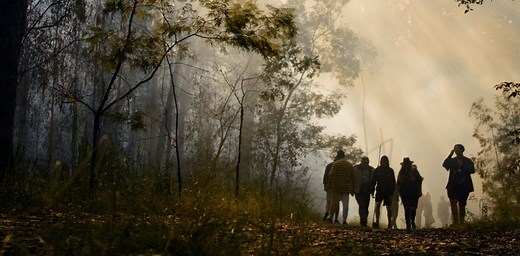 Cultural burning is better for Australian soils than prescribed burning, or no burning at all