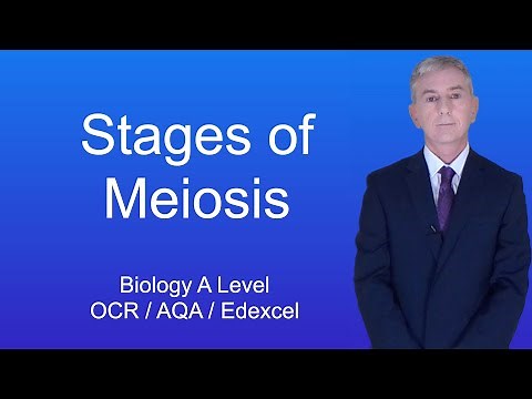 A Level Biology Revision "Stages of Meiosis".