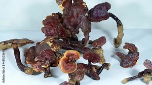 Dried Ganoderma lucidum, Chinese herbal medicine