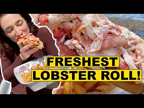 Best Lobster Roll in Maine | Where to Eat in Maine