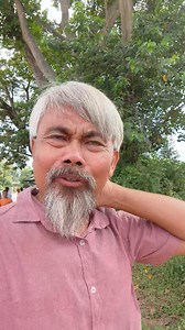 #savetrees #saveenvironment #ForestDepartment #pwddepartment #tuliramronghang | Rajib Kro