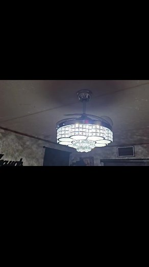 BAY SQUIRREL Ceiling Fans with Lights and Bluetooth Speakers