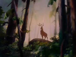 Great Circle of Life Part 1/3