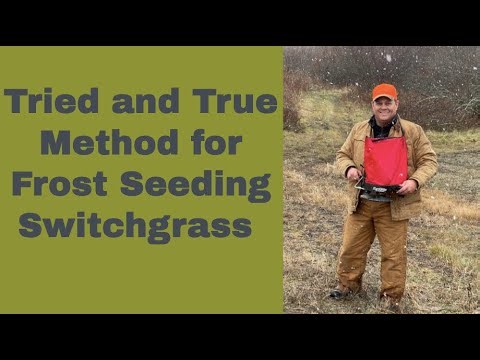 Frost Seeding Switchgrass on the Habitat Oasis Project for Whitetail Deer Habitat