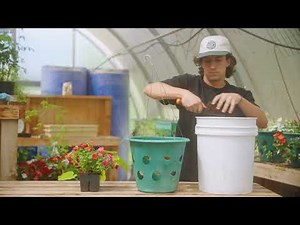 Bloom Master Hanging Planter Kit//Max Water Holding Soil Mix