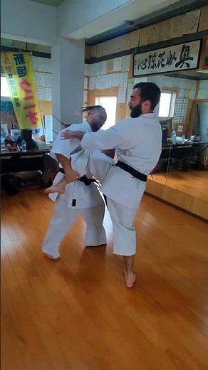 Uechi ryu kumite training sparring /Sanchin comes alive / shin block defense and attack