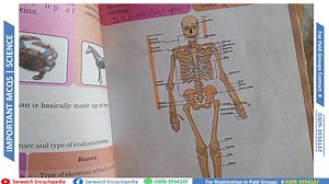 48K views · 1.6K reactions | Junior Science Teacher (BPS -14) Science Important MCQs | Body Parts ******************************************* ٽيسٽ جي تياري جي واٽس اپ گروپ ۾ شامل ٿيڻ لاءِ ڏنل نمبر تي رابطو ڪندا. فيس : 1000 ٻن مهينن لاءِ Join our Paid Group For Test Preparation Course Fees : 1000) Sarwaich Encyclopedia 0309 3934147 | Sarwaich Encyclopedia | Facebook