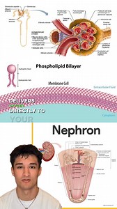 27 reactions · 4 comments | They told you dialysis was permanent. But...