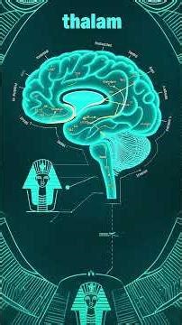 The Dual Code of Egypt and Mental Transmission