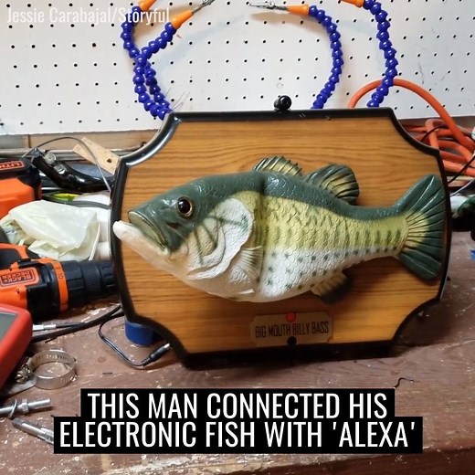 A guy connected his alexa to a talking fish and the results are hilarious! "Billy bass, tell me a joke..." 😂😂😂 | UNILAD