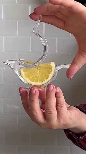 Best Lemon Squeezer for Easy Kitchen Hacks | Buy Now!