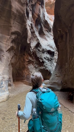 Hiking the Narrows in Zion National Park