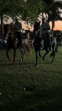 Spanish horse 🇪🇸🧬🔥ALION #horses