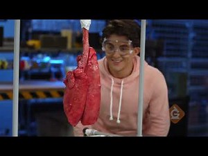 Fun K-8 Science Lessons with Activities, Teacher Resources, and More