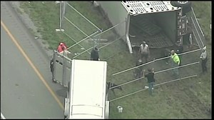 Cattle truck crash causes problems on I-71