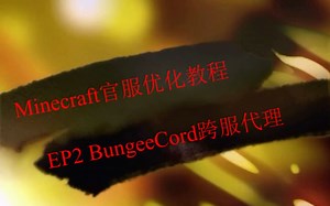 【Minecraft服务器优化教程】EP2 BungeeCord跨服代理