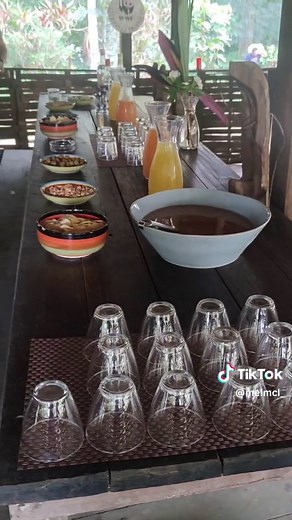 Exploration en Forêt Amazonienne de la Guyane Française