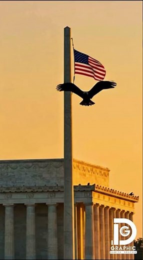 Bald Eagle on US Flagpole 🦅🇺🇸