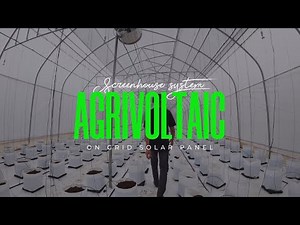 Agrivoltaic Screenhouse On Grid Solar Panel System Screenhouse