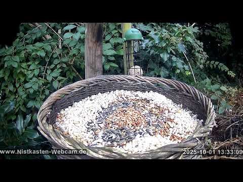 Futterstelle 1.10.2025