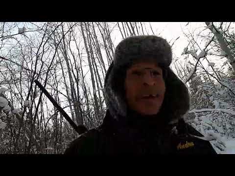 Trapping Tails 2024 Part Four