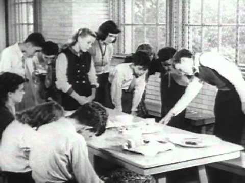 Duck and Cover- Classic 1951 Civil Defense Video