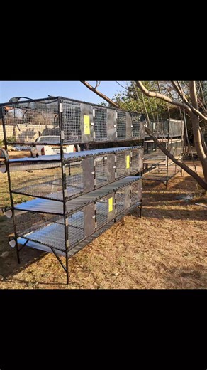 62K views · 642 reactions | 120 layer Chickens for K6150 only. #LusakaZambia #madeinzambia #PoultrySolutions #poultryequipment | Lilayi Import and Agro Consultants | Facebook