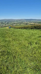 395K views · 4.2K reactions | One for the stright pipe haters... | Tractor Cab Specialists | Facebook