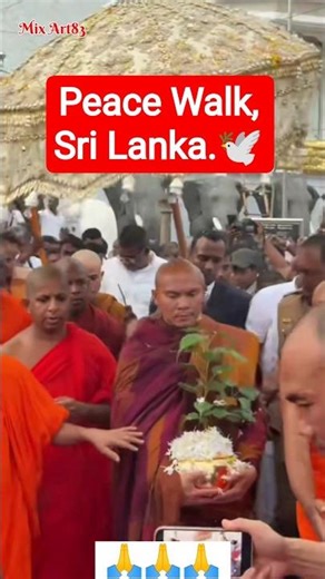 Peace Walk, Sri Lanka🕊️ #peace #humanity #kindness #love #srilanka