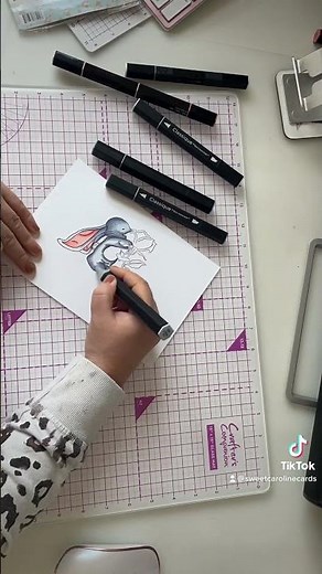 Coloring with spectrum noir markers from crafters companion.