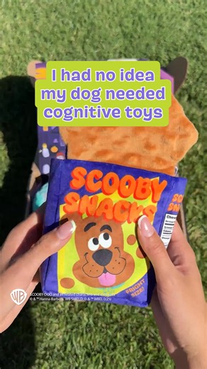 3K views | Welcome back to BarkBox, Scooby-Doo™! This box may be haunted by double the toys and treats (upgraded for free!), but it’s no match for your favorite dog detective. Join today and you’re guaranteed to get Scooby-Doo™ Halloween as your first BarkBox, with exciting new themes every month. | BarkBox | Facebook