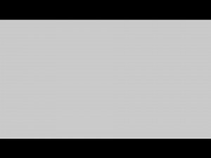 Hurricane Camille Song