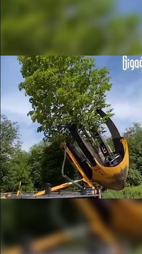 Tree Transplant Machine😱