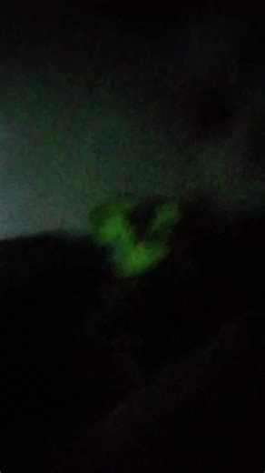 mini👠 Stallion x (@mini.stallion.x)’s videos with son original - malikoura