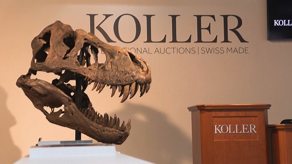 Bones of Contention: T. rex Skeleton Trinity Snapped Up at Auction