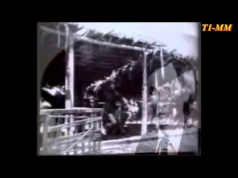 Con đường cứu nước của Hồ Chí Minh