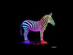 3D Hologram Video for Magnetic Tiles | Magnetic Tiles Hologram Hack