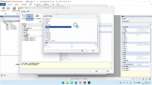 沐江电气SWE2025标准培训03-新建项目（SWE培训最触及深度的培训视频）