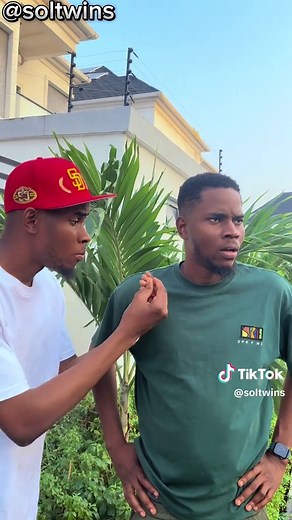 Exploring the Sol Twins Phenomenon