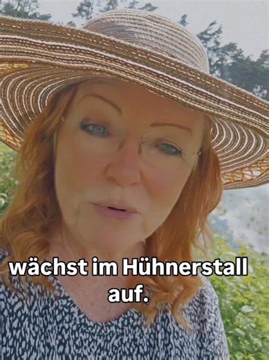 🦅 Kennst du die Geschichte vom jungen Adler? Ein junger Adler wächst in einem Hühnerstall auf. Er scharrt im Boden, lebt wie die Hühner und glaubt, er wäre einer von ihnen. Eines Tages blickt er zum Himmel und sieht einen mächtigen Adler hoch über den Wolken kreisen. Voller Sehnsucht sagt er: