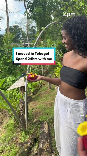 Exploring Tobago: Your Ultimate Guide to Tourist Attractions