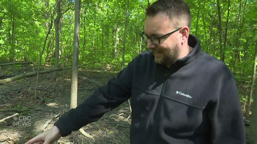 When and where to have a controlled burn