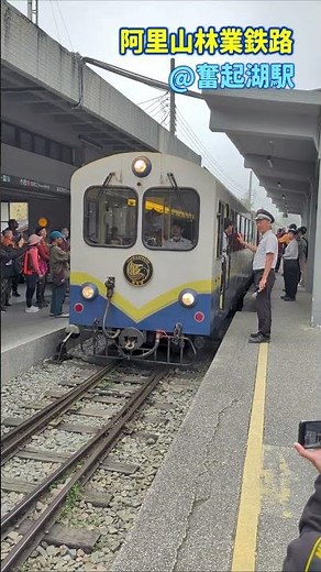【のりものチャンネル】阿里山林業鉄路 @奮起湖駅 #奮起湖駅 #登山鉄道 #台湾 #train #Alishan Forest Railway #Fenqihu Station #Taiwan