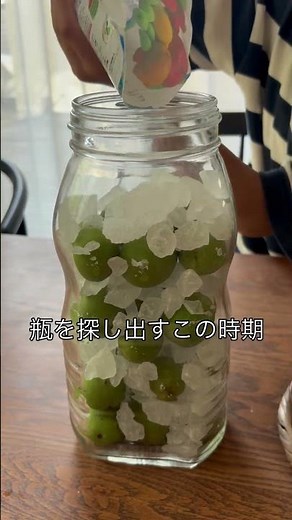 梅シロップ作り【大人用も！】 #無添加ごはん #梅仕事 #季節の手仕事