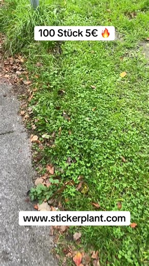 Bei uns im Sale 🫡 #berlin #hamburg #hannover #rostock #dortmund #essen #leipzig #köln #frankfurt #dresden #düsseldorf