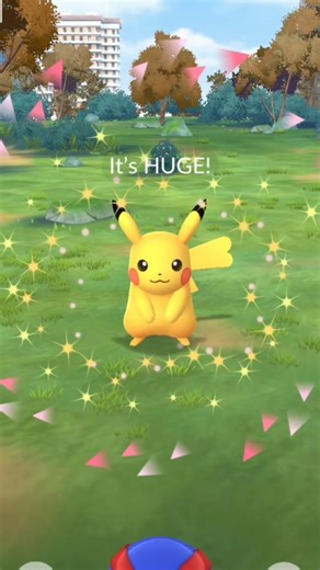 whilst pikachu.......... ....... #pokego #pokego #pokemongo ...........